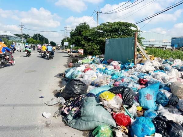 TP Hồ Chí Minh: Nhiều nơi ngập rác thải -0