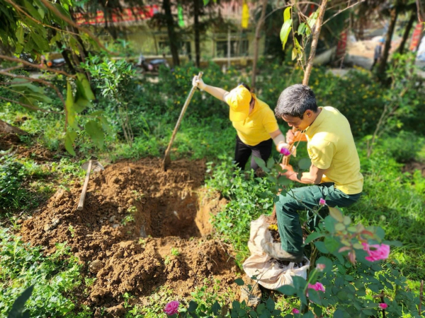 Sa Pa quyết tâm xây dựng “Thành phố trên mây – Chỉ trồng cây không xả rác” -0