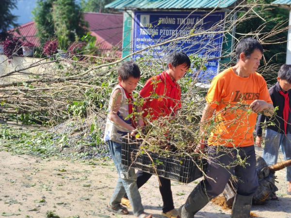 Sa Pa quyết tâm xây dựng “Thành phố trên mây – Chỉ trồng cây không xả rác” -0