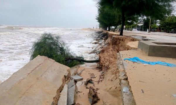 Hàng trăm người cùng đắp đá làm kè chống sạt bờ biển ở Huế -0