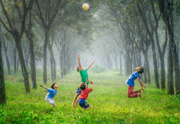 nhà văn, nhà thơ có trách nhiệm chuyển tải thông điệp về mối quan hệ hài hòa giữa con người và tự nhiên qua tác phẩm của mình..jpeg -0