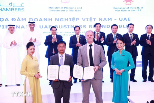 Tuyên bố chung giữa Việt Nam và UAE về nâng cấp quan hệ lên Đối tác Toàn diện -0