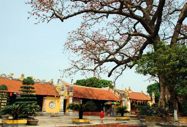 Mõ vang nhịp phách âm ba -1