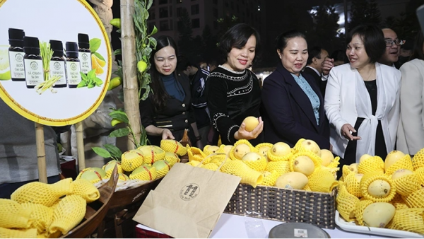 Hanoi to host Vietnam Regional Specialties Fair 2024 -0