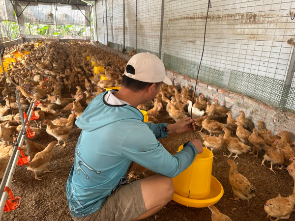 Trò lừa mời vay vốn online của “nhân viên ngân hàng” -1