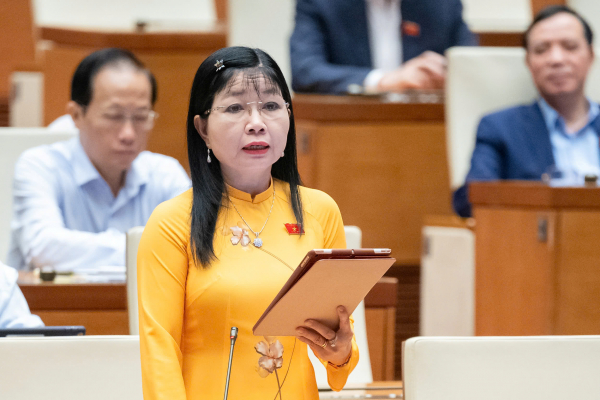 Thống đốc Nguyễn Thị Hồng:  VNE- ID hỗ trợ hiệu quả việc cho người dân khi vay vốn ngân hàng -0