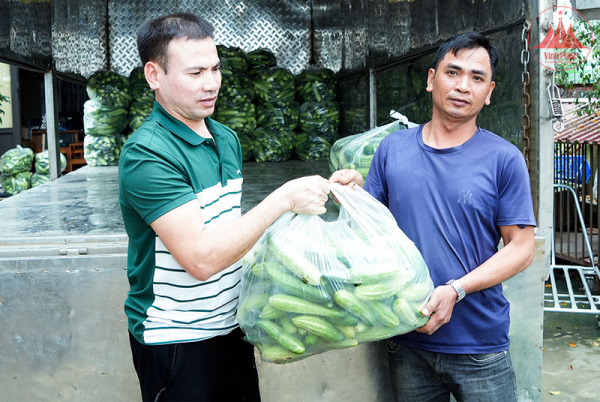 Vĩnh Phúc đẩy mạnh ứng dụng khoa học - công nghệ trong sản xuất, kinh doanh -0