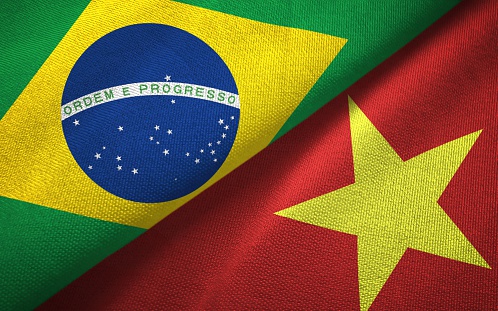 Viet Nam shows increasingly dynamic presence on international stage: Brazilian Ambassador -0