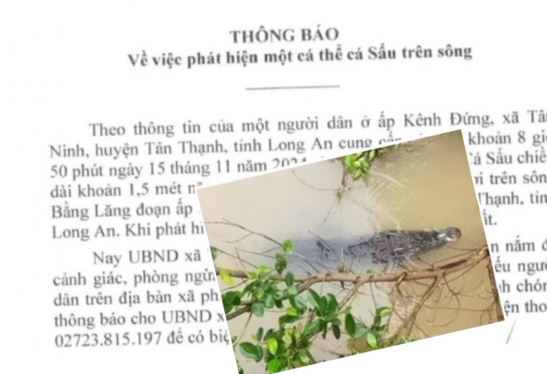 Chính quyền phát cảnh báo vụ cá sấu xuất hiện trên sông Bằng Lăng -0