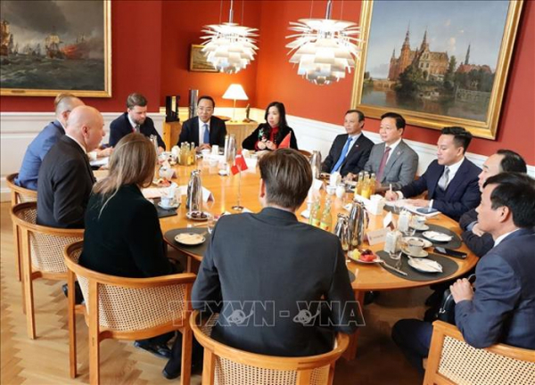 Việt Nam - Đan Mạch tăng cường hợp tác vì một tương lai xanh bền vững -0