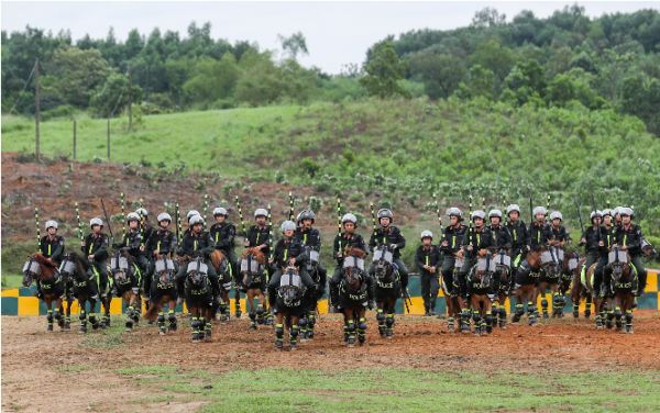 Lực lượng Kỵ binh Bộ Công an sẽ tham gia diễu hành tại Lễ hội cà phê Buôn Ma Thuột lần thứ 9 năm 2025 -0