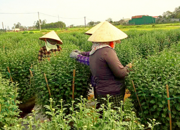 Trắng đêm mùa hoa Tết -0