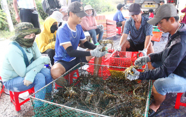 Một thoáng Sông Cầu -0