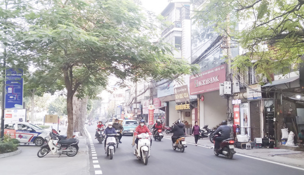 2-ðu%3fng hoàng hoa thám.jpg -0