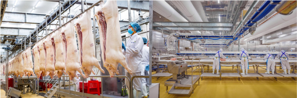 3-thịt ủ mát chuẩn âu của meatdeli được sản xuất tại tổ hợp nhà máy hiện đại.jpg -0