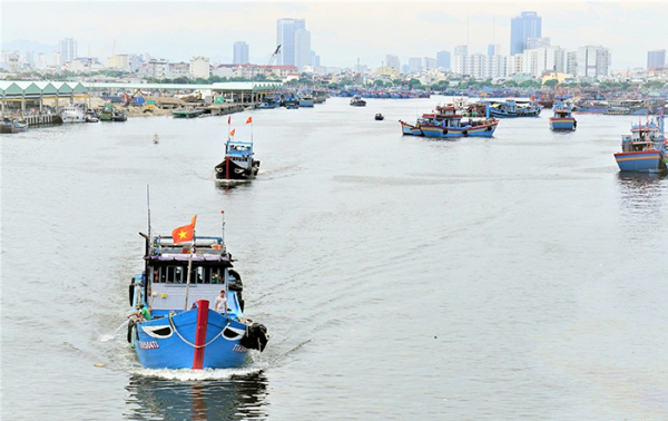 Đầu năm rộn ràng những chuyến biển bội thu -0