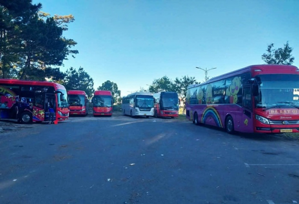 Doanh nghiệp đua nhau lập điểm, đón trả khách trong nội ô Đà Lạt -0