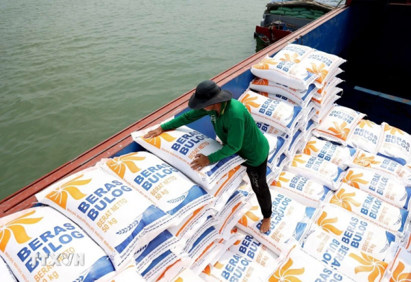Thủ tướng yêu cầu nâng cao năng lực cạnh tranh, làm lành mạnh thị trường lúa gạo -0