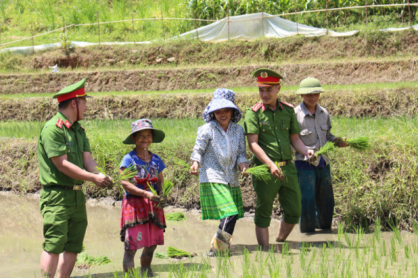 Kỳ vọng vào những 