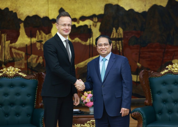Vietnam treasures comprehensive partnership with Hungary: PM -0