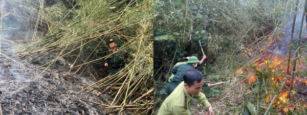 Hàng trăm CBCS Công an tỉnh Tuyên Quang tham gia khống chế đám cháy -0