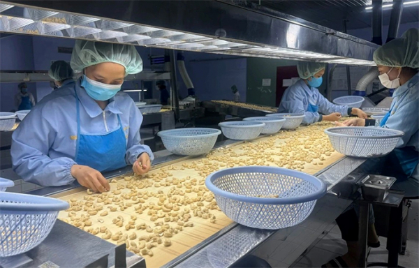 Ngành nông sản tìm cơ hội ở các thị trường mới -0