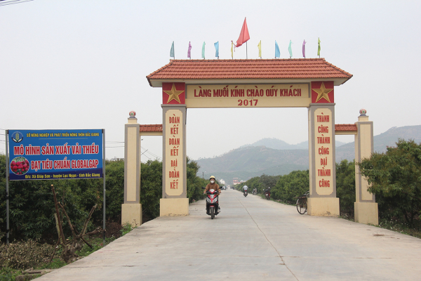 Vị ngọt thôn Muối -0