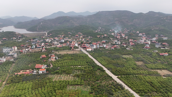 Vị ngọt thôn Muối -0