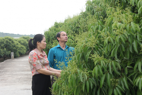Vị ngọt thôn Muối -0