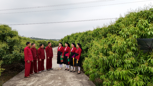 Vị ngọt thôn Muối -0