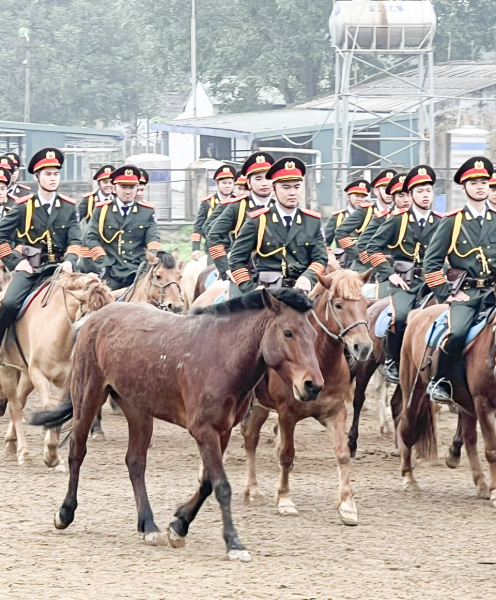 chú ng%3fa red v%3fn nghiêm túc luy%3fn t%3fp trong hàng quân.jpg -0