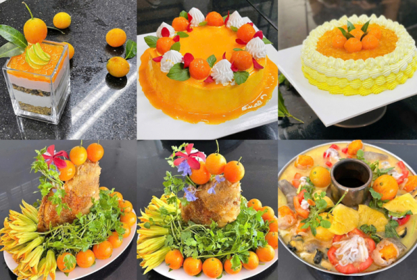 Vĩnh Long kỳ vọng ngành du lịch góp phần đáng kể vào tăng trưởng kinh tế -0