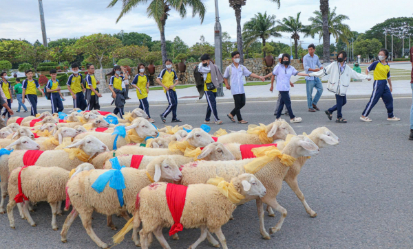 Du khách sẽ trải nghiệm khinh khí cầu tại Tuần Văn hóa Thể thao Du lịch và Ẩm thực Ninh Thuận -0