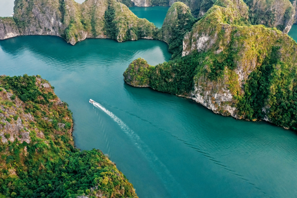 PGS. TS. Trần Đình Thiên: Cát Bà thuận lợi để phát triển đảo du lịch xanh cùng trải nghiệm đặc sắc -0