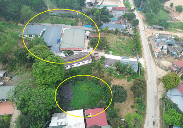 trang-trang-3.jpg -0