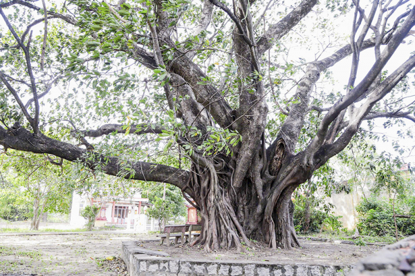 1. cau chuyen sau ngay 30-4.jpg -0