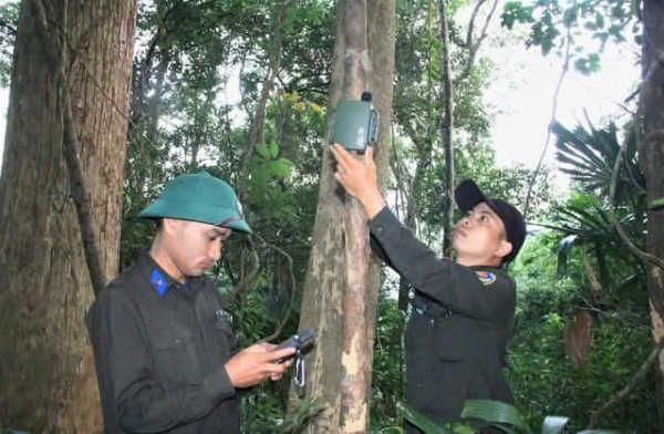 Giữ hồn rừng bằng dấu chân khoa học -0