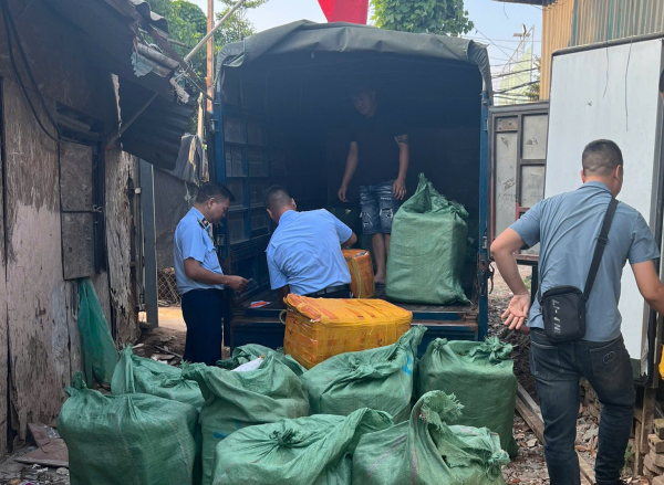 Tạm giữ 800kg trứng gà non, tràng gà đông lạnh không rõ nguồn gốc -0
