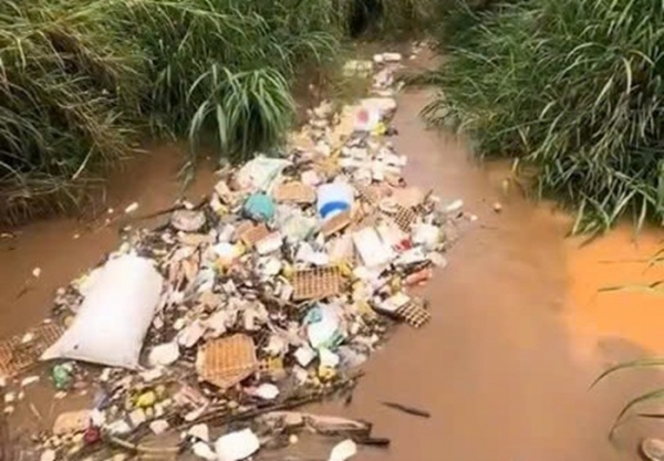 Xả thải bừa bãi, dân Đà Lạt lãnh đủ -0