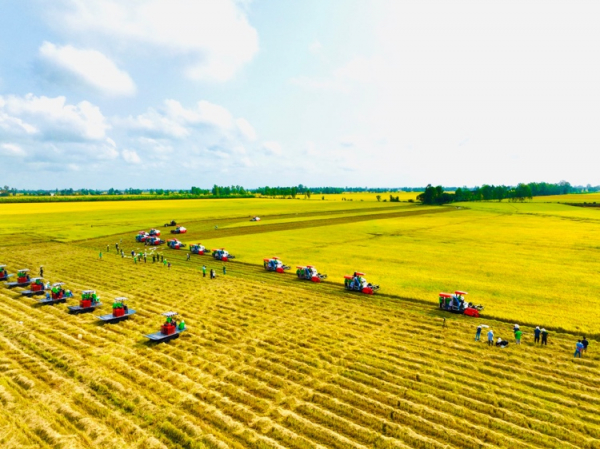 Khoa học công nghệ giúp giữ vị thế  quốc gia xuất khẩu nông sản hàng đầu thế giới -0