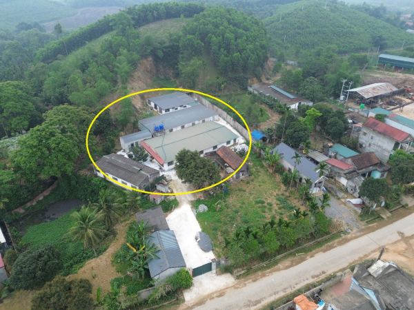 Đình chỉ trại nuôi lợn gây ô nhiễm sau phản ánh của Báo CAND -0