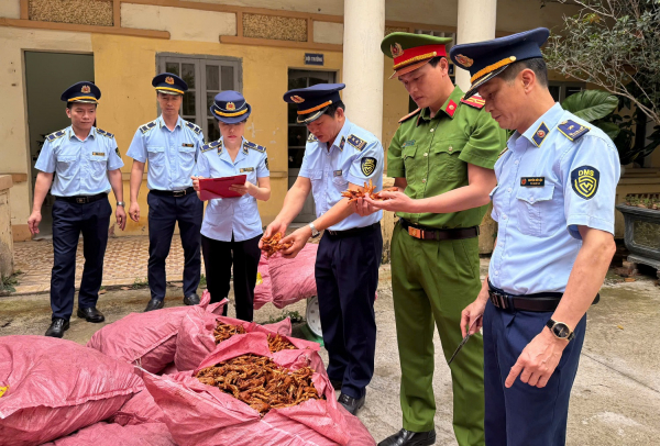 Kiểm tra đột xuất, lộ nhiều vi phạm về buôn lậu, hàng giả -0