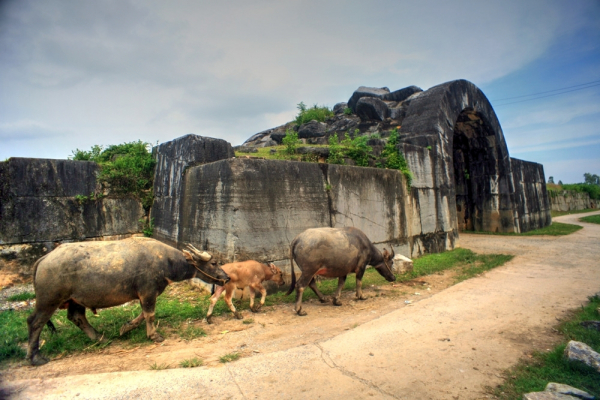 redsvn-thanh-nha-ho-04.jpg -0