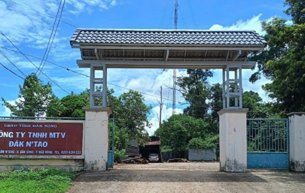 Phó Giám đốc công ty lâm nghiệp bị đánh gãy xương sườn -0