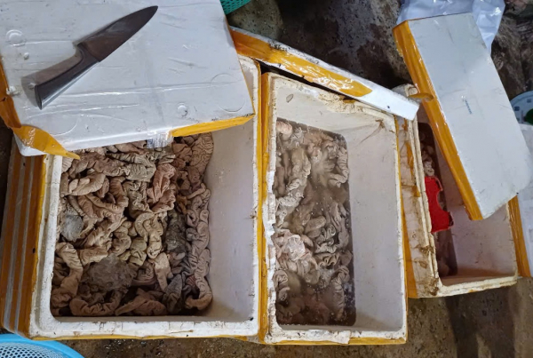 Hàng tấn thịt, nội tạng không rõ nguồn gốc bị phát hiện trước khi đưa vào nhà hàng, quán nhậu -0