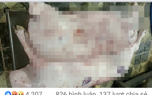 Chủ tịch tỉnh Sóc Trăng chỉ đạo kiểm tra vụ bán thịt heo “bẩn” -0