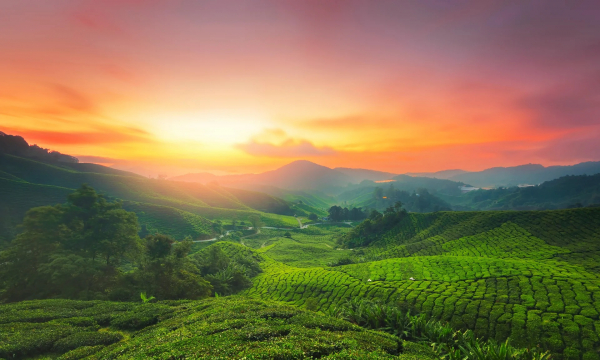 Những địa điểm hút khách nhất tại Malaysia -0