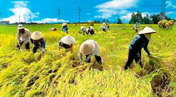 7 người cấp cứu vì nắng nóng, 1 bệnh nhân nguy kịch -0