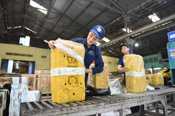 Tập đoàn Công nghiệp Cao su Việt Nam: Tăng tốc phát triển, tối ưu nguồn lực -0