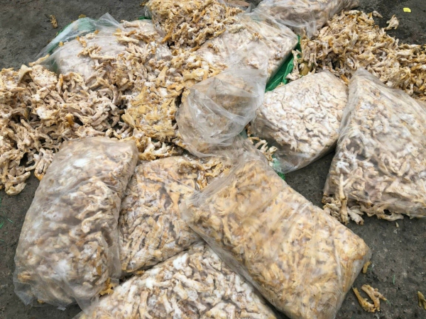 Ngăn chặn hơn 25 tấn thực phẩm bốc mùi hôi thối chuẩn bị đưa vào quán nướng -0